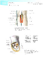 Sobotta  Atlas of Human Anatomy  Trunk, Viscera,Lower Limb Volume2 2006, page 373
